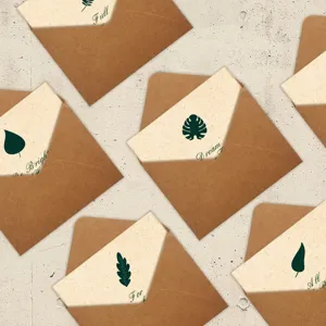 Juego de Tarjetas de Felicitación de Plantas Estilo Ins Minimalista Con Sobre de Kraft Hoja Pintada a Mano Retro Cartulina Papelería Para Niños Bendición DIY