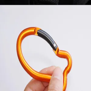 Detaillierte Ansicht des leichten Aluminium-Karabiners in Fischform für den Outdoor-Einsatz.