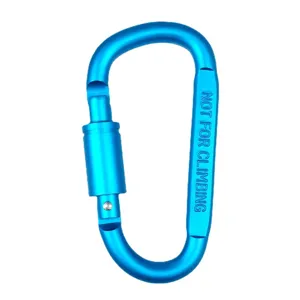 Blue aluminum alloy D-shaped carabiner keychain and outdoor backpack hanging buckle hook.