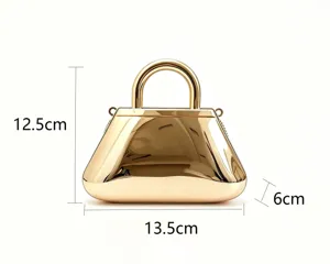Guida visiva dettagliata delle dimensioni per la borsa da sera in acrilico dorato
