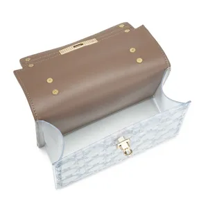 Stylish women's transparent crossbody bag with brown leather flap and gold-tone twist lock