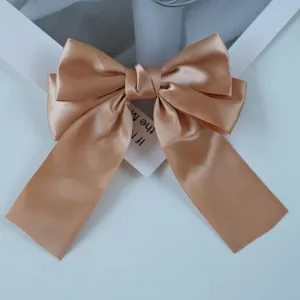 Macro view of champagne satin ribbon bow hair clip with smooth texture and elegant design