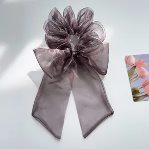 Nahaufnahme von Organza-Haargummi mit irisierender Schleife und schimmerndem Glanz
