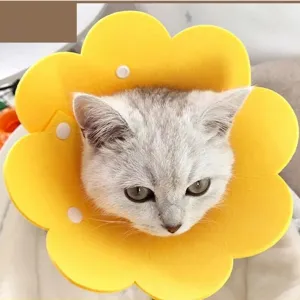 Sunflower-shaped pet Elizabethan collar for cats, soft yellow anti-lick recovery neck cone.