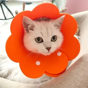 Soft flower shaped orange Elizabeth collar for cats wound protection and recovery