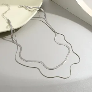 Close-up of double-layer silver snake chain necklace with flat metallic texture