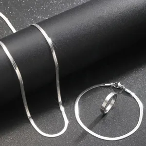 Detailansicht der silbernen Edelstahl Schlangenkette Halskette Armband und Ring Set