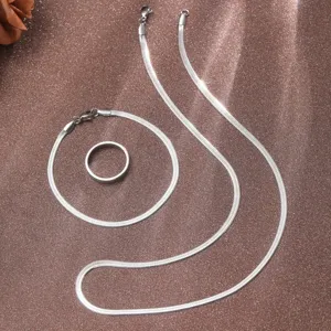 Detailansicht von glänzender Edelstahl Schlangenkette, Armband und Ring-Set für Herren