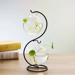 Détails du vase hydroponique en verre suspendu avec support en métal pour une jolie décoration.