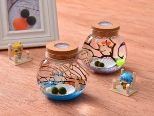 LED Marimo Moss Ball Glass Vase Micro Landscape Ecological Bottle with Cork Lid Light