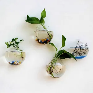 Wall-mounted glass hydroponic vase transparent plant pot creative home decoration pots
