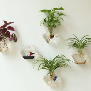 Vase en Verre Suspendu Mural Créatif Pot de Fleurs Hydroponique Hexagonal Géométrique Transparent Moderne Minimaliste