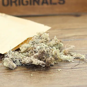 Sphaigne séchée pour terrariums et plantes DIY, substrat de rétention d'eau naturel.