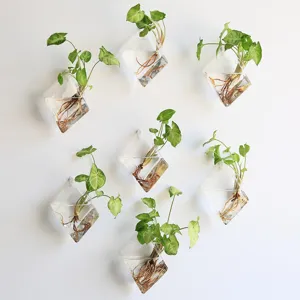 Vase Mural Suspendu en Verre Transparent Diamant Conteniteur de Plantes Hydroponiques Décoration Intérieure Minimaliste Pot de Fleurs