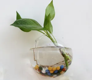 Wall hanging glass hydroponic vase clear globe planter for home decor plant holder