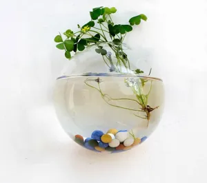 Close up view of the clear glass wall hanging vase featuring colorful decorative pebbles inside.