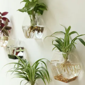 Vase suspendu mural en verre hexagonal pour plantes hydroponiques, déco moderne.