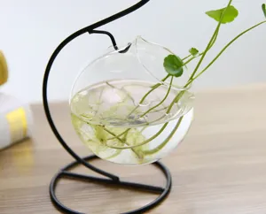 Vase en verre suspendu créatif style européen terrarium hydroponique avec support en fer.