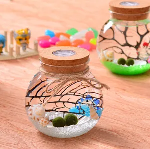 Glass marimo moss ball terrarium jar with LED cork light, cute aquatic ecosystem decoration.