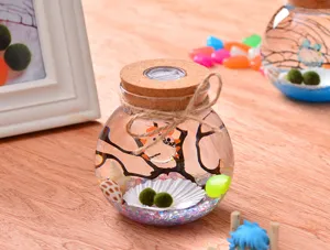 Glass jar micro landscape with LED cork, marimo moss balls and shell decor for home decor.