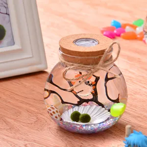 Glass vase with lighted marimo balls, micro landscape ecosystem bottle with cork and LED light.