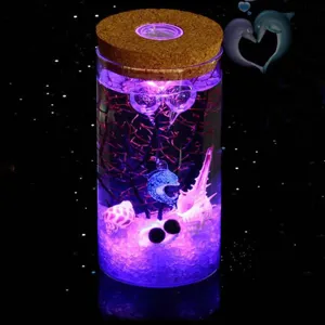 Straight Glass Vase With Cork Led Light Micro Landscape Ecological Bottle Transparent Glass Flower Vase For Home Decor