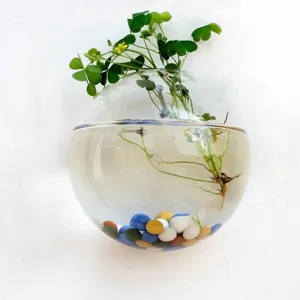 Wall mounted glass hanging vase transparent hydroponic plant container for home decor