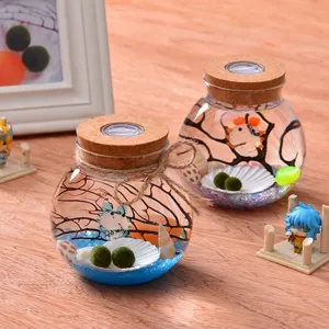 Lighted Marimo Moss Ball Glass Vase Micro Landscape Cork Lid Terrarium Glass Jar Decor