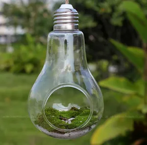 Detailed view of hanging glass terrarium bulb vase with live moss for creative home decor.