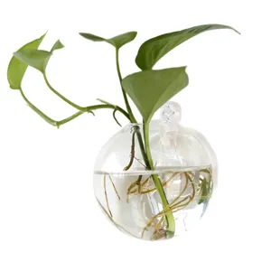 Wall hanging glass hydroponic vase clear transparent plant terrarium container for home decor