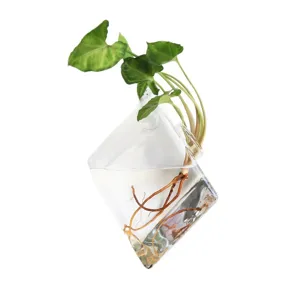 Vase en verre suspendu, jardinière murale géométrique, contenant hydroponique pour décoration.