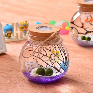 Glass terrarium jar with LED cork light, moss ball, decorative shells and micro landscape setup.