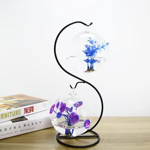 Terrario in vetro sospeso con supporto in ferro a S, ideale per decorazioni micro-paesaggio.