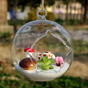 Hanging glass terrarium vase with miniature succulent landscape for home and office decor.