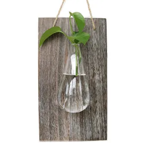 Vaso idroponico in vetro da parete con asse di legno rustico e decorazione vegetale