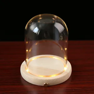 Detailed view of the clear glass dome with wooden LED light base for display, dust cover.