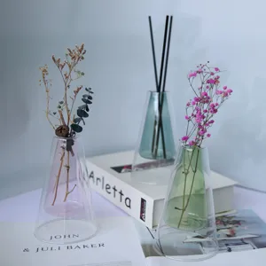 Nordic minimalist double-walled glass vase creative transparent aromatherapy desktop ornament