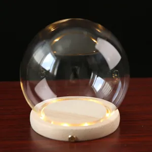 LED wooden base glass dome detail showcasing clear dome and warm lighting effect for display.