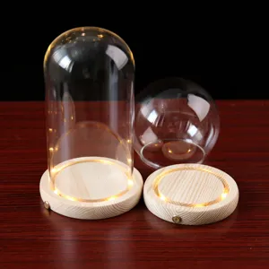 Glass dome with LED wooden base immortal flower dust cover touch switch display case lighting