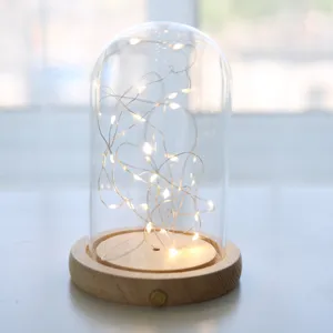 Glass dome with LED copper wire string lights and wooden base for home decor display.