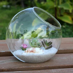 Trasparente Tondo Obliqua Bocca Vaso di Vetro Idroponica Planter Micro Paesaggio Bottiglia Terrario Casa Arredamento Artigianato