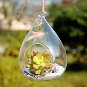 Hanging Glass Vase Clear Borosilicate Glass Conical Plant Terrarium Pastoral Home Decor Hanging Planter For Indoor
