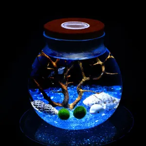 Clear Glass Vase Micro Landscape Bottle LED Cork Sealed Jar Borosilicate Glass Home Office Decor