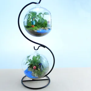 Vaso terrario in vetro sospeso a forma di S con supporto in metallo, display per piante.