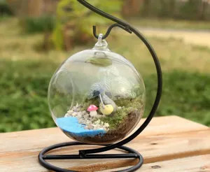 Terrario in vetro sospeso con supporto in ferro, vaso per piante in miniatura decorativo da tavolo