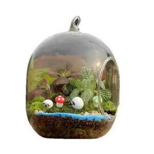 Glazen terrarium vaas micro landschap mos DIY plant vetplant decoratieve pot