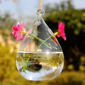 Hanging glass vase with natural jute twine, teardrop terrarium container for plants flowers.