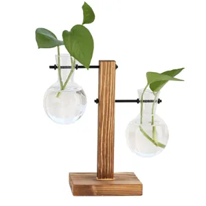 Kreativer Holzrahmen Hydrokultur Vase Doppelglas Glühbirne Pflanze Terrarium Tischdekor