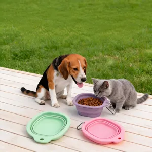 Ciotola Pieghevole Portatile in Silicone per Animali Domestici Ciotola per Cani da Esterno con Moschettone