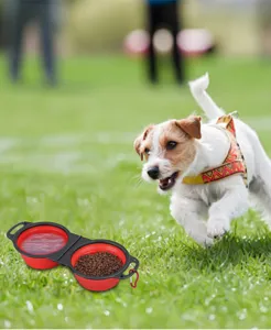 Portable collapsible silicone double pet bowl for outdoor dog and cat feeding, travel-friendly.